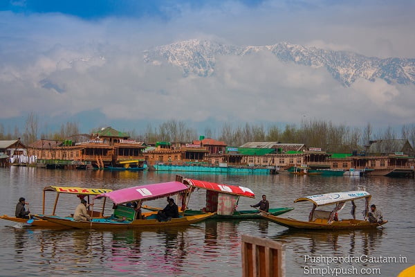 Tour Operators in Kashmir