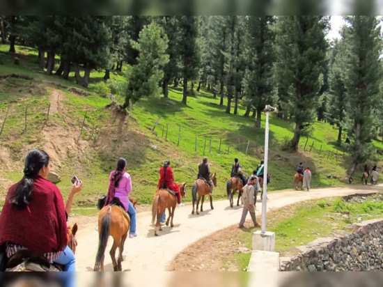Pony ride in Pahalgam