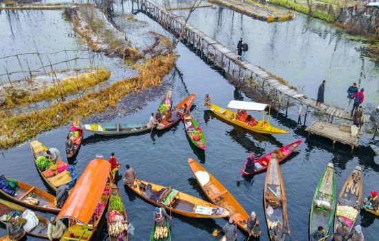 Best Jammu Kashmir Family Trip – 5 Days