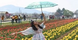 Tulip Srinagar Garden Timing 2025