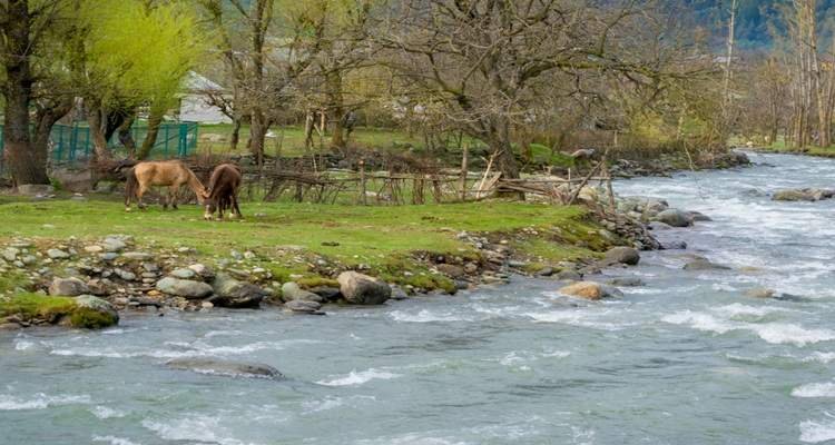 Aru Valley Pahalgam Kashmir