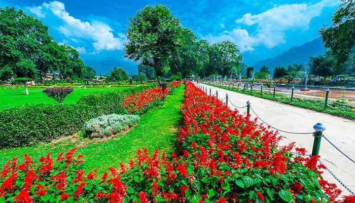 Chashme Shahi Garden Srinagar 