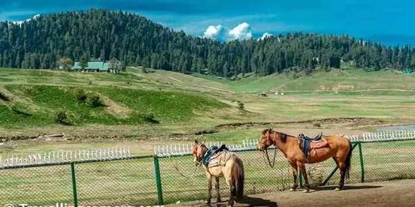 - Explore Pony Ride in Things to do in Pahalgam
