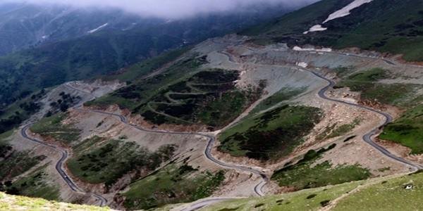 Flora and Fauna of Sinthan Top Kashmir
