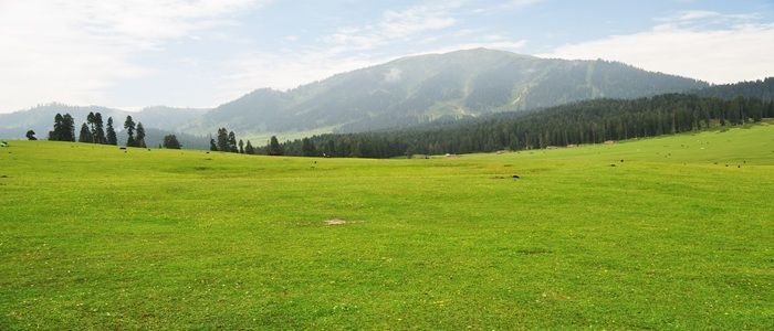 Golden meadows in Doodhpathri autumn view