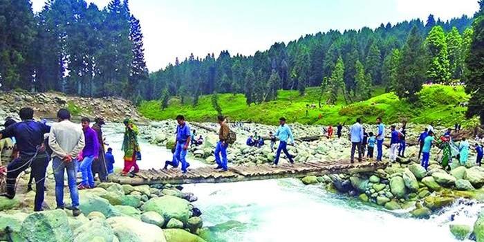  grazing sheep in Doodhpathri Kashmir