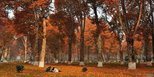 Naseem Bagh Famous Mughal Gardens in Srinagar Kashmir