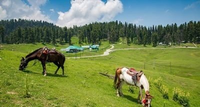 Kashmir Budget Tour Package 6 Days from Hyderabad