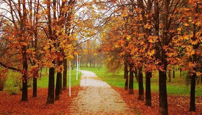 Kashmir in Autumn (October to November)