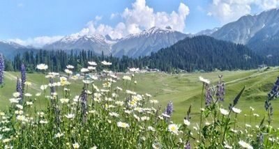 Kashmir with Gulmarg Package from Hyderabad 6 Days