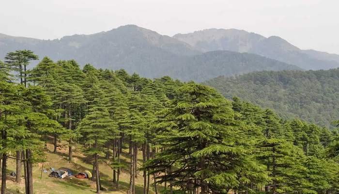 Patnitop is a hilltop tourist location