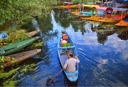 Srinagar Mughal Gardens Tour