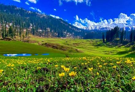 Srinagar Pahalgam Tour day