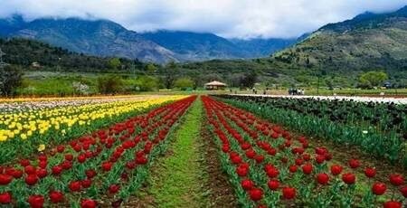 Chalo Kashmir – Budget Family Tour from Kerala
